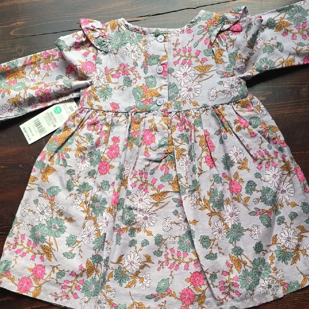 ​NWT Baby B'gosh Floral Ruffle Long Sleeve Dress - 12M